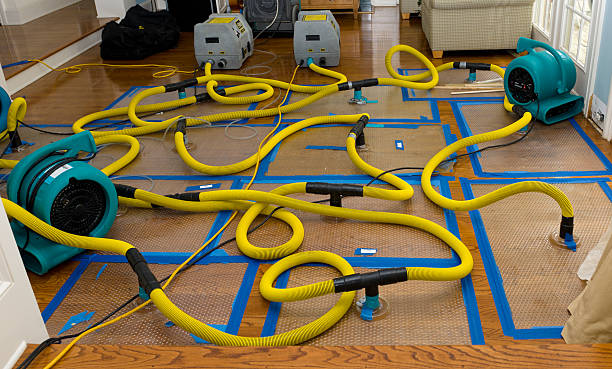 Professional Water Damage Restoration technician working in Saxonburg, PA